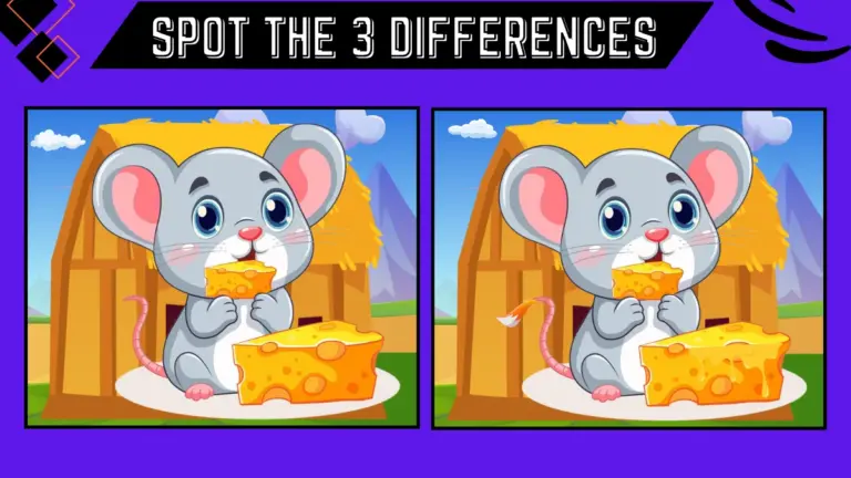 Spot the Difference Puzzle #1: Only Genius Can Spot 3 Differences between these Rat Images in 10 Secs