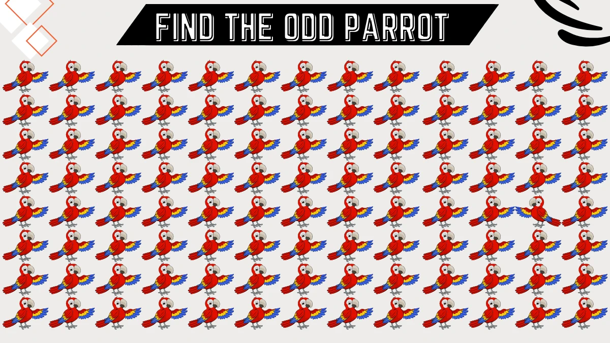 Test Visual Acuity: Only People With 50/50 Vision Can Spot the Odd Parrot in 5 Secs