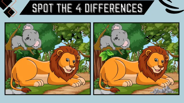 Test your vision by spotting the 4 differences in this lion and koala image within 14 secs