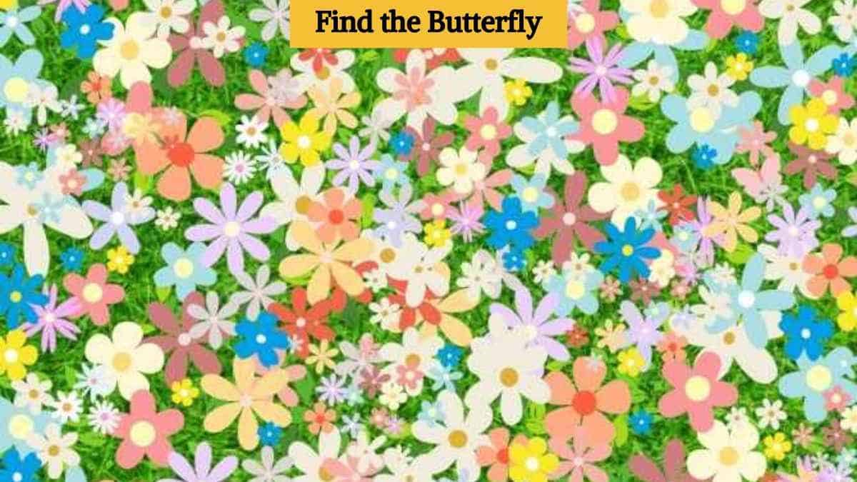 Visual Skill Test: You have hawk eyes if you can find the hidden butterfly in 7 seconds!