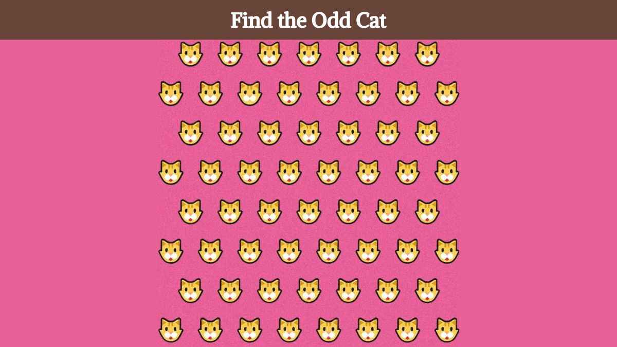 You are a sharp-eyed genius if you can find the odd cat in 4 seconds!