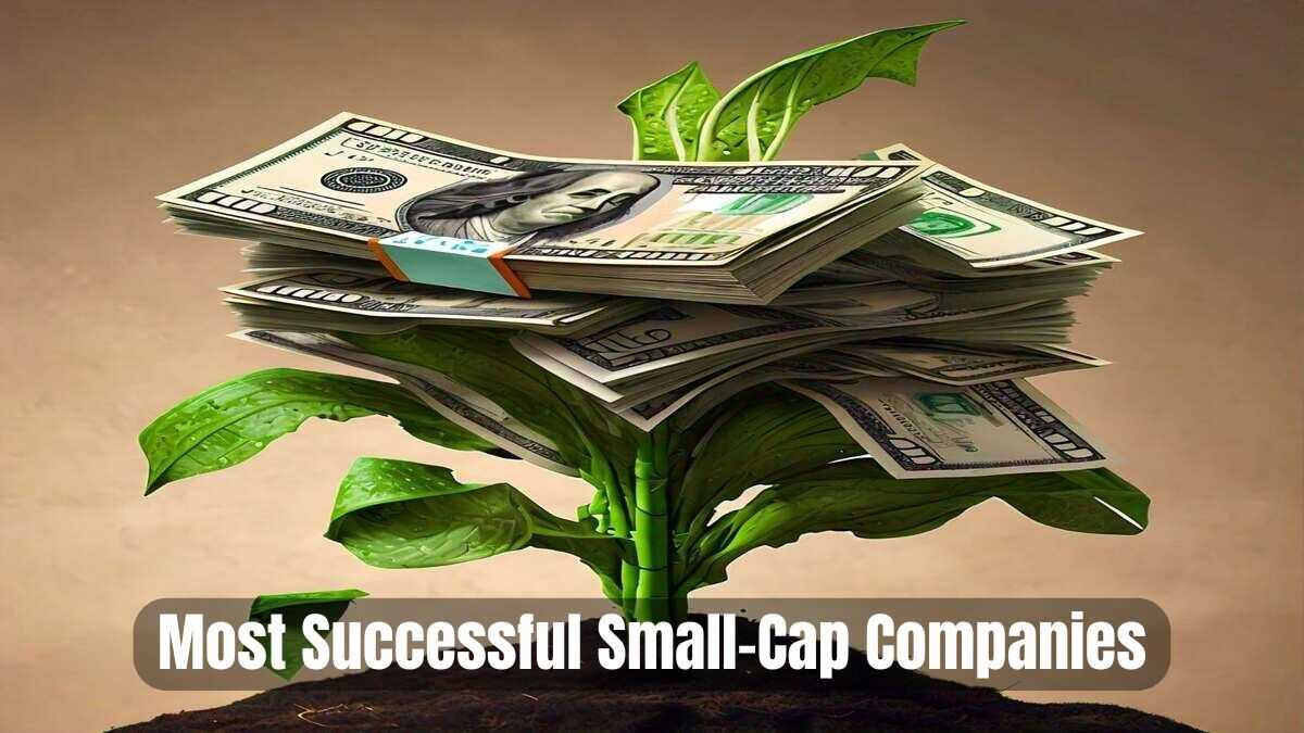 America’s Top 10 Most Successful Small-Cap Companies 2024
