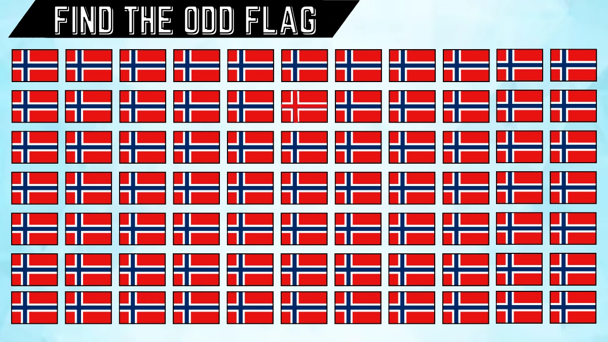 Brain Teaser Odd One Out Puzzle: Can you spot the odd one flag out in 10 Secs?