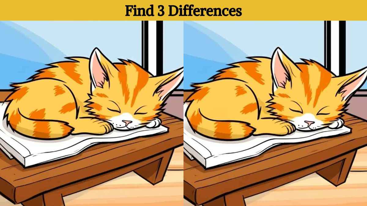 Find 3 differences between the sleeping cat pictures in 12 seconds!