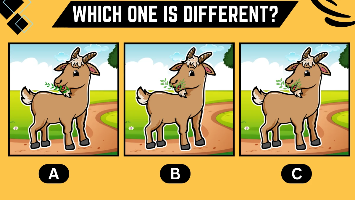 Observation Brain Challenge: Only 4k Vision can Spot the Different Goat in 5 Secs