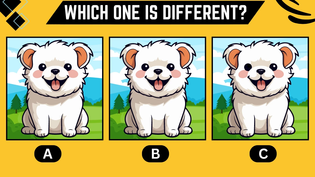 Observation Brain Challenge: Only People With 4K Vision Can Spot the Different Dog in 7 Secs
