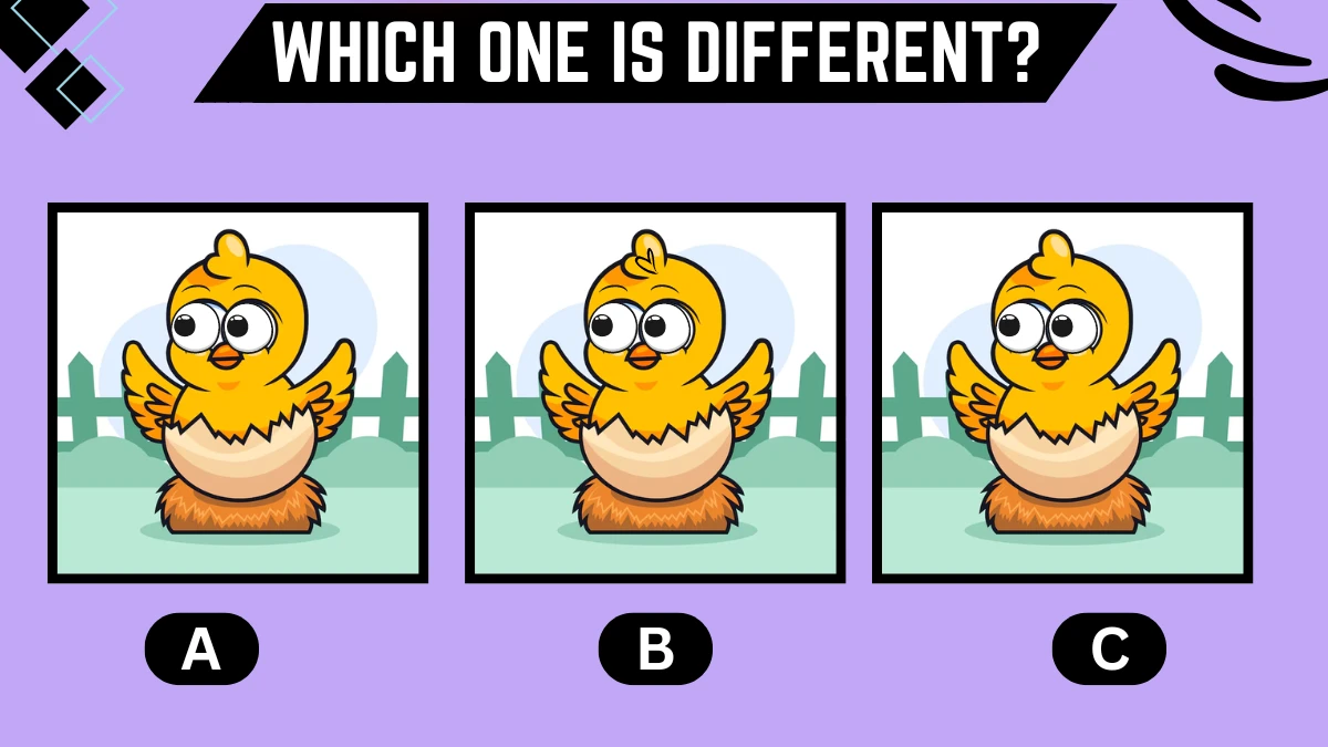 Observation Brain Challenge: Only the sharpest eyes can spot the different chick within 7 Secs