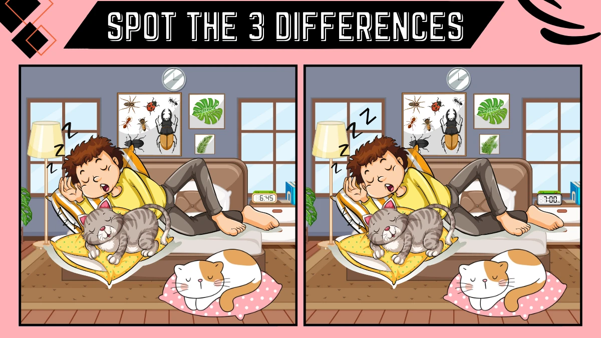 Optical Illusion Spot the Difference Game: Only People with Sharp Eyes Can Spot the 3 Differences in this Man Sleeping with Cat Image in 10 Secs