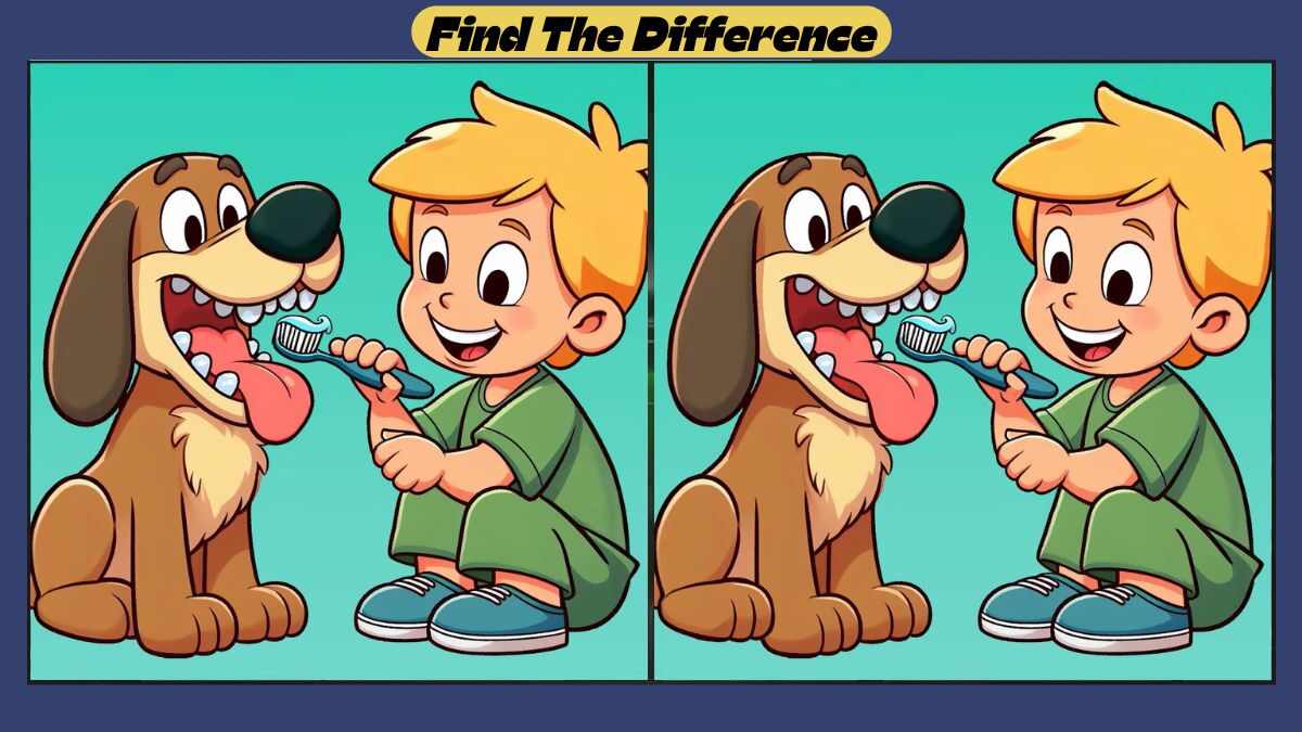 Spot the 3 Differences Between Teeth Cleaning Pictures in 36 Seconds