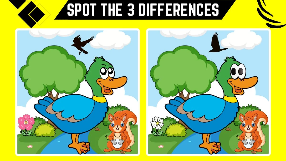 Spot the 3 Differences: Only the Sharpest Eyes Can Spot the 3 Differences in this Duck and Squirrel Image in 10 Secs