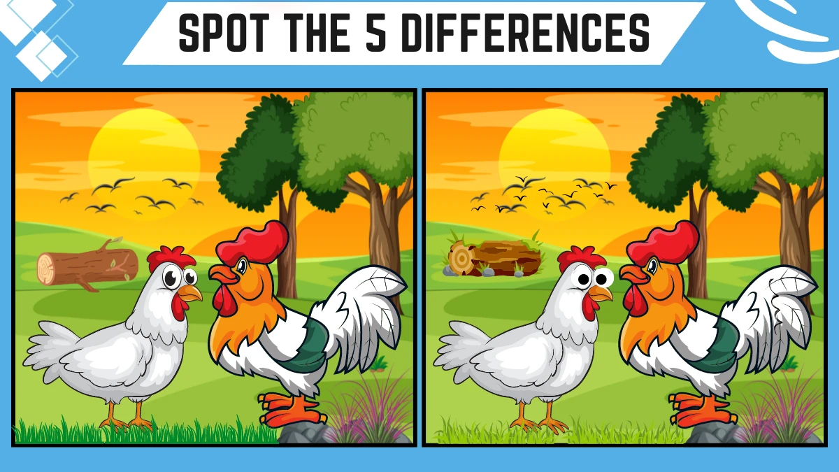 Spot the 5 Differences: Only a Genius can spot the 5 differences in this Hen and Cock Image in 15 Secs
