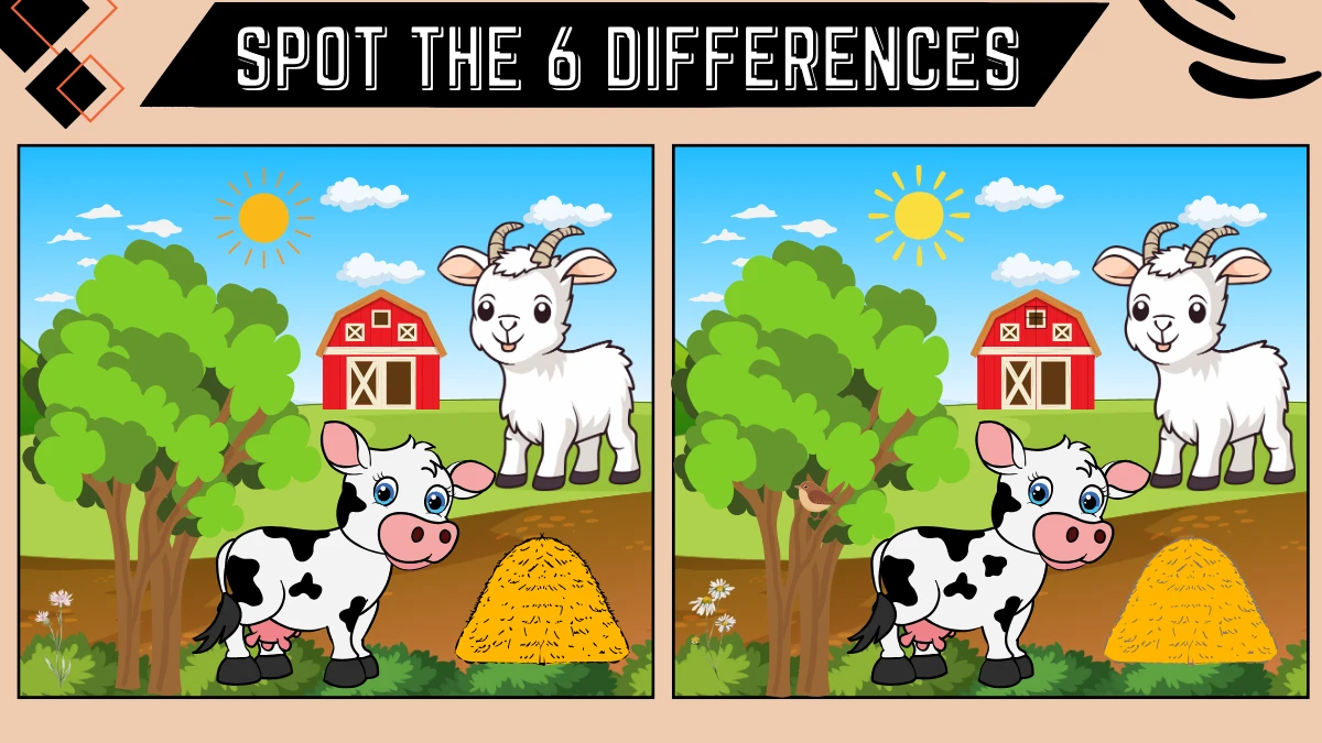 Spot the 6 Differences: Only 50/50 Vision Can Spot the 6 Differences in this Goat and Cow Image in 16 Secs