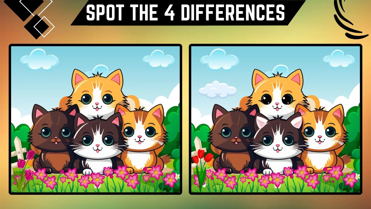 Spot the Difference Game: Only 20/20 Vision Can Spot the 4 Differences in this Cats Image in 12 Secs