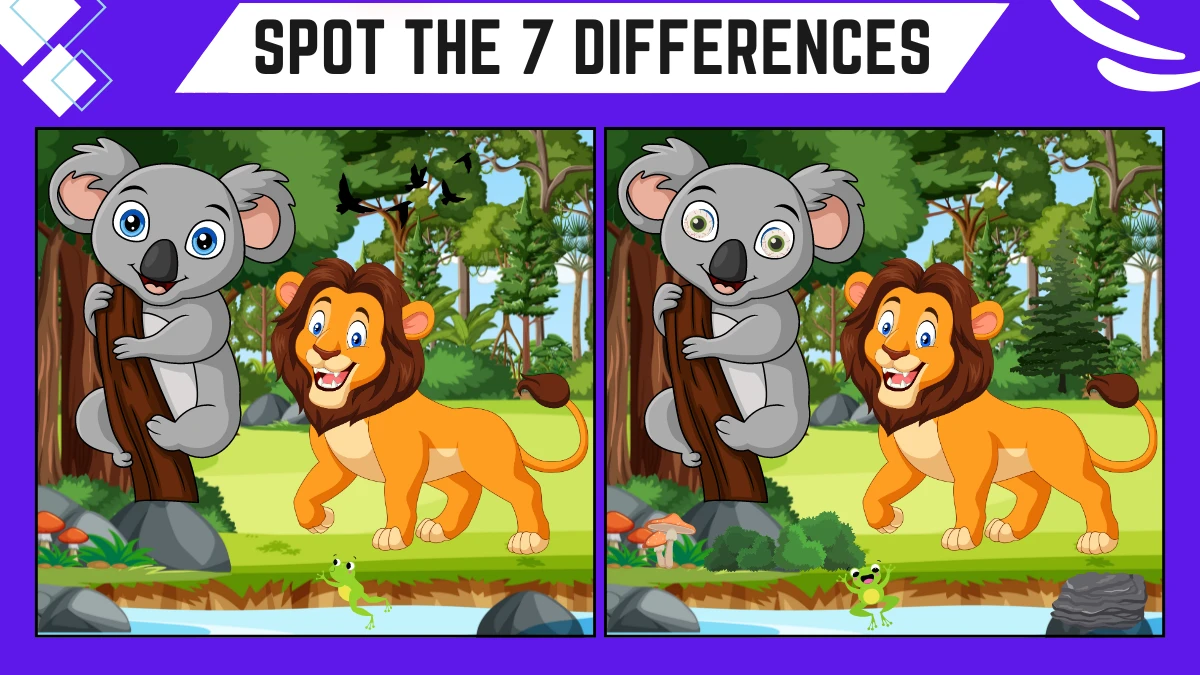 Spot the Difference Game: Only People with excellent vision Can Spot the 7 Differences in this Lion and Koala Images in 18 Secs