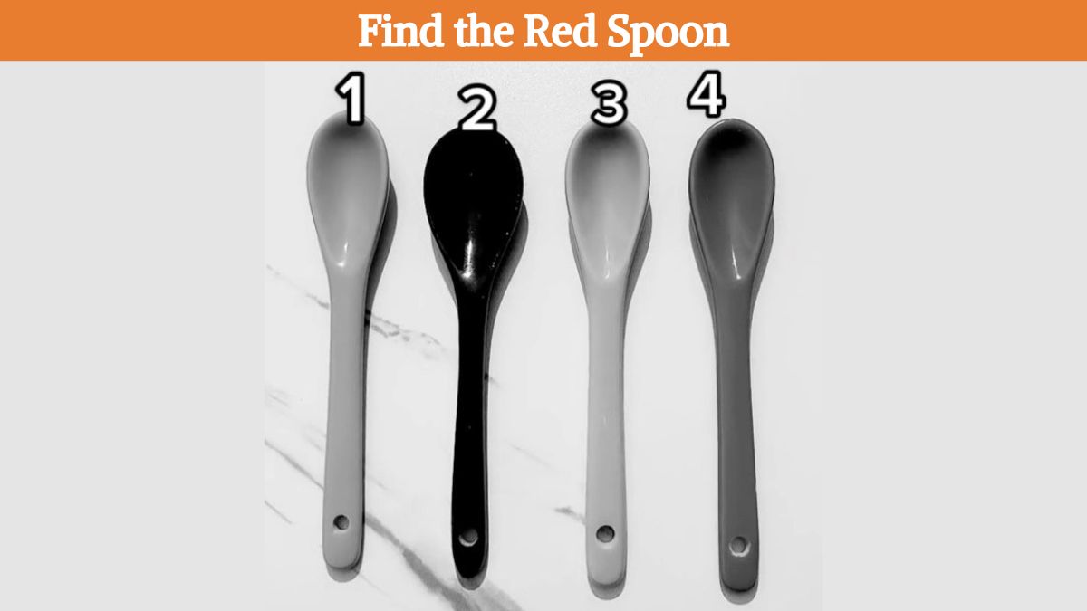 You are among the top 5% with a high IQ if you can find the red spoon in 6 seconds!