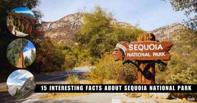 15 Interesting Facts About Sequoia National Park