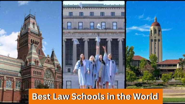 Best Law Schools in the World