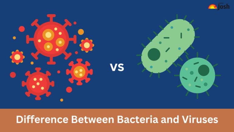 Difference between Bacteria and Viruses