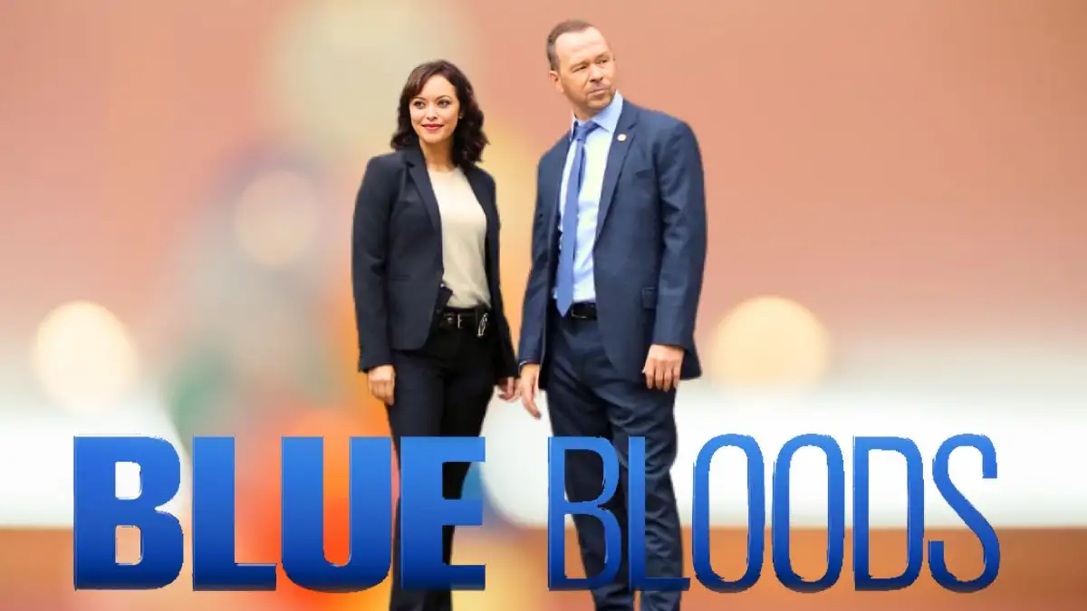 Do Danny & Baez Kiss in Blue Bloods Season 12? Who Plays Danny?