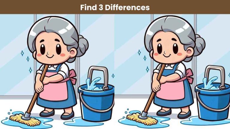 Find 3 differences between the cleaning lady pictures in 12 seconds!