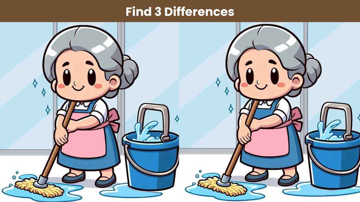 Find 3 differences between the cleaning lady pictures in 12 seconds!