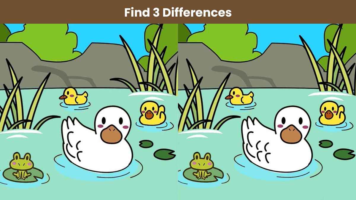 Find 3 differences between the duck and ducklings pictures in 10 seconds!