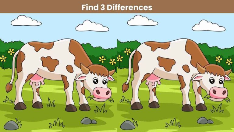 Find 3 differences between the grazing cow pictures in 15 seconds!