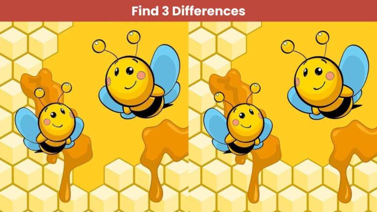 Find 3 differences between the honeybee pictures in 14 seconds!