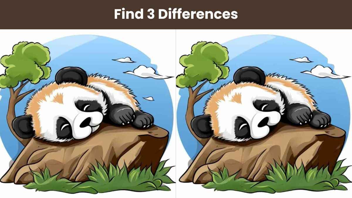 Find 3 differences between the panda pictures in 12 seconds!