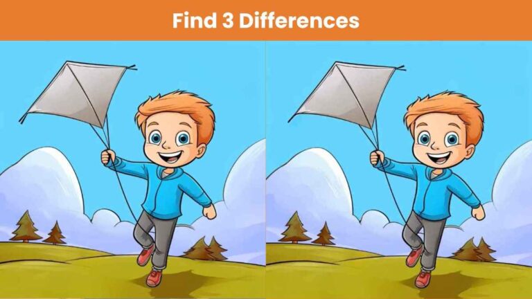 Find 3 differences between the pictures of a boy flying a kite in 13 seconds!