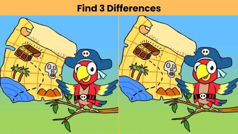 Find 3 differences between the pirate parrot pictures in 9 seconds!