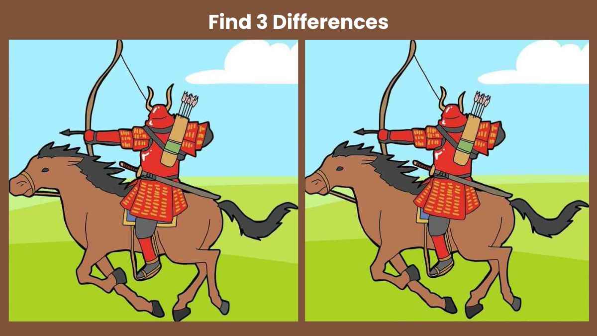 Find 3 differences between the warrior pictures in 18 seconds!