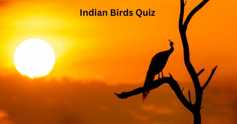 GK Quiz on Birds of India: How Well Do You Know Indian Birds? Take Our GK Quiz!