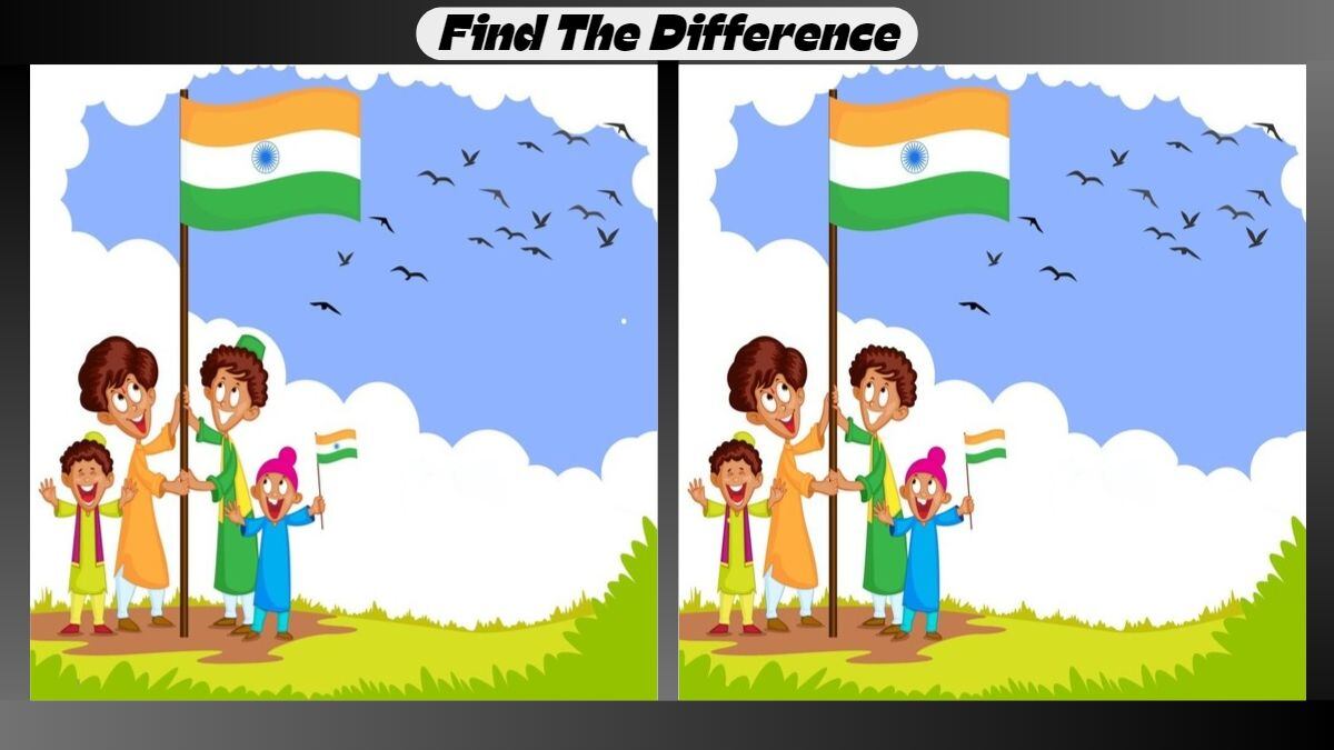 Independence Day 2024: Spot 3 Differences Between Indian Flag Hoisting Pictures in 26 Seconds