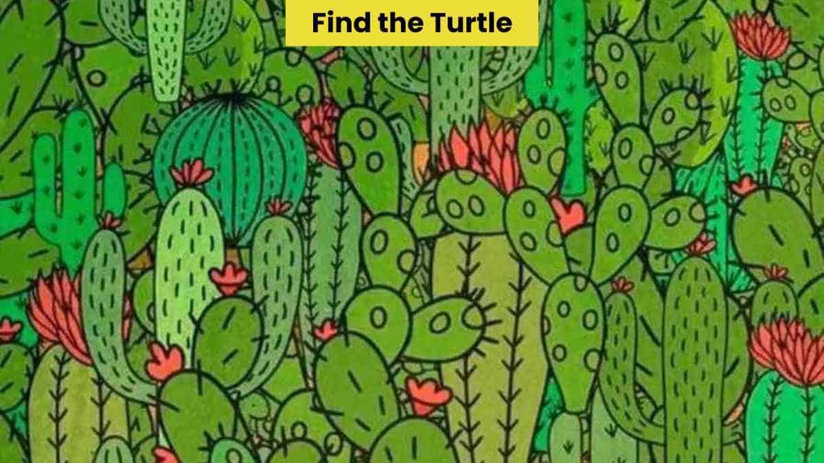 Only a sharp-eyed genius can find the turtle in the cacti in 9 seconds!