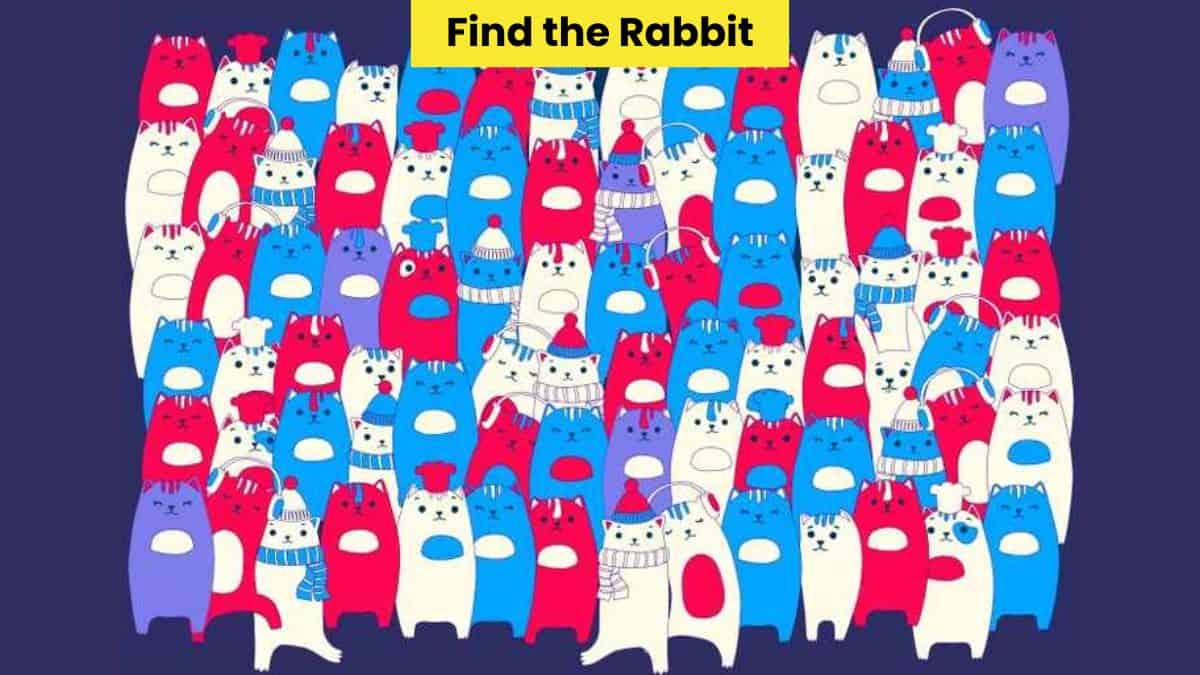 Only eagle eyes can find the rabbit among cats in 6 seconds!