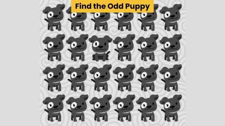 Optical Illusion: Find the odd puppy in the picture in 4 seconds!