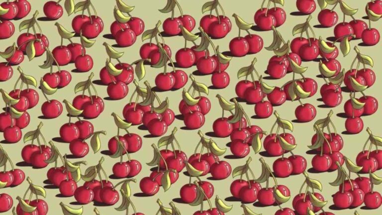 Optical Illusion IQ Test: Can You Spot the Tomato Hidden Among Cherries In 5 Seconds?