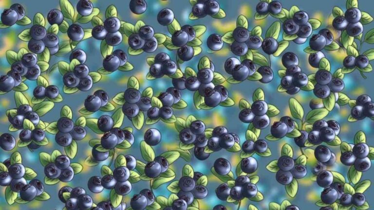 Optical Illusion IQ Test: Only 1% With Sharp Vision Can Spot The Ant Hidden Among Blueberries in Just 8 Seconds!