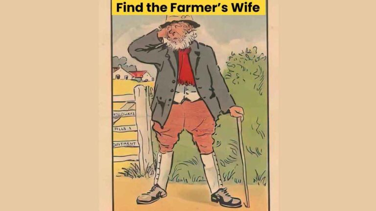 Optical Illusion: Only puzzle masters can find the farmer’s wife in 7 seconds!