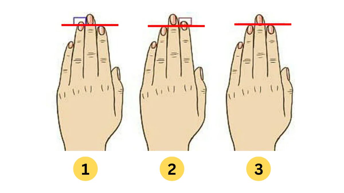 Personality Test: Your Finger Length Reveals Your Hidden Personality Traits