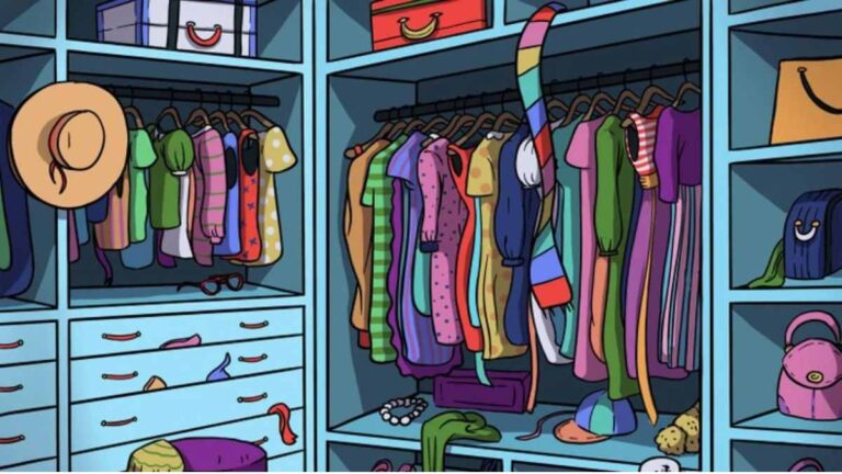 Picture Puzzle IQ Test: Can You Spot the Hidden Cat in This Closet in 12 Seconds?