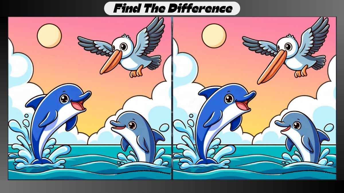 Spot 3 Differences Between Dolphin and Pelican Pictures in 17 Seconds