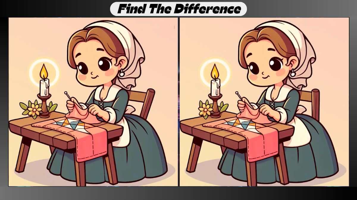 Spot 3 Differences Between Embroidery Pictures in 25 Seconds