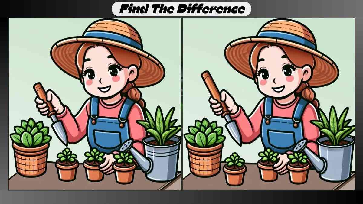 Spot 3 Differences Between Indoor Gardening Pictures in 19 Seconds