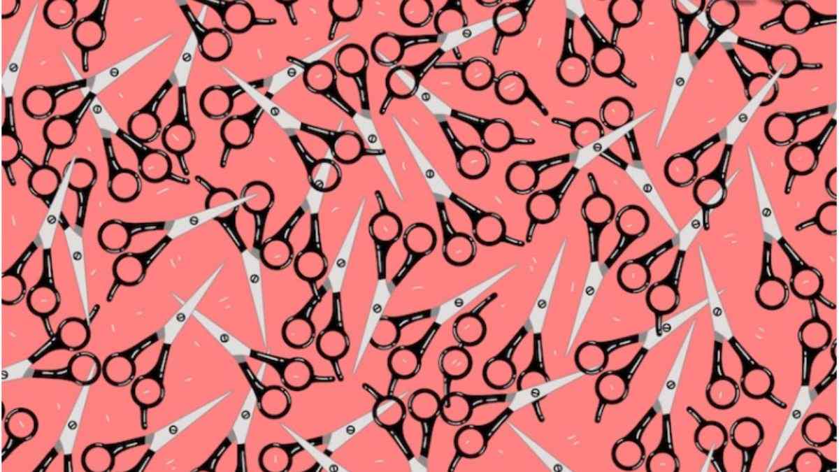 Spot 3 Eyeglasses Hidden Among Scissors In 9 Seconds, Only 2% Pass This Picture Puzzle IQ Test!