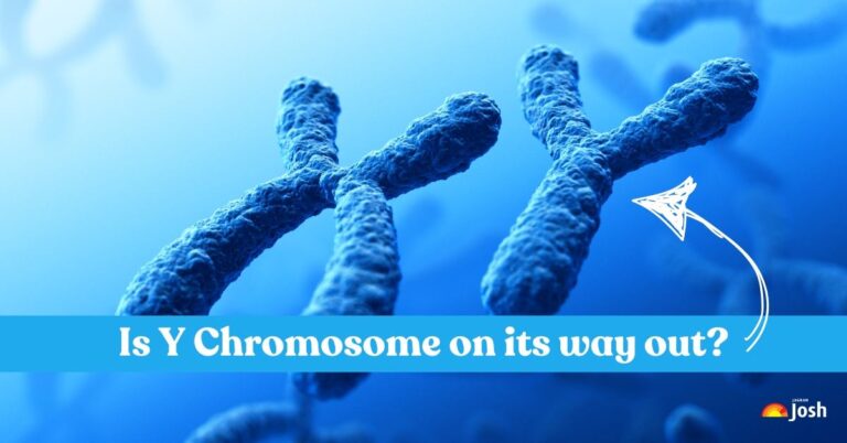 The Evolutionary Puzzle: Theories explaining why the Y chromosome is shrinking