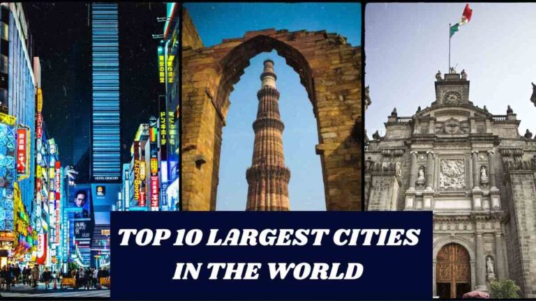 [Updated] Top 10 Largest Cities in the World By Population 2024