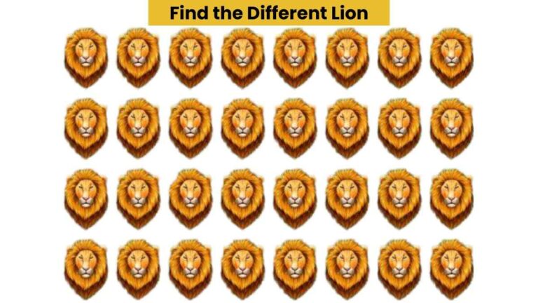 Visual Skill Test: Find the different lion in the picture in 6 seconds!