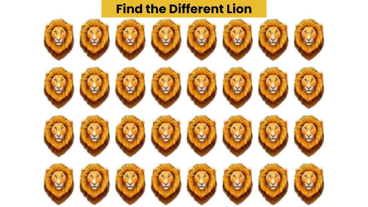 Visual Skill Test: Find the different lion in the picture in 6 seconds!